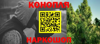 прущие грибы Гагарин