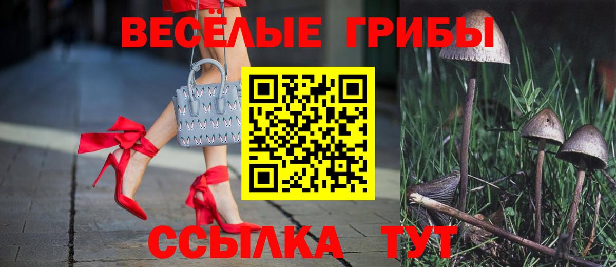 Псилоцибиновые грибы Psilocybe  Псилоцибиновые грибы мицелий  Вход с VPN  Грязи 